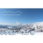 スキーチケット 白馬岩岳スノーフィールド
