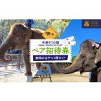 入場券 優待券 市原ぞうの国 ペア招待券+動物のおやつ1個セ…