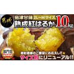 ふるさと納税 野菜類 サツマイモ 宮崎県 都城市 島津甘藷　熟成紅はるか 10kg(2L〜M)_AA-A701_(都城市) 島津甘藷 紅はるか 10kg さつまいも サツマイモ 芋 熟…