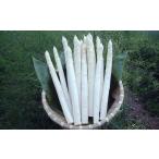 fu.... налог овощи вид спаржа Hokkaido Akai река .[B1].книга@ сельское хозяйство место [karutela. . женщина (3L)] иметь машина JAS одобрено aspala:5 месяц средний .~ [B(1)].книга@ сельское хозяйство место [karute...