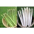 fu.... налог овощи вид спаржа Hokkaido Akai река .[K1].книга@ сельское хозяйство место [ большой земля. .. комплект (2 цвет )] иметь машина JAS одобрено aspala:5 месяц средний .~ [K(1)].книга@ сельское хозяйство место [ большой земля...