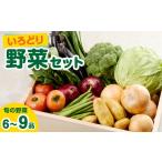 セット 詰合せ いろどり野菜セット 野菜詰め合わせ