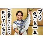 旬の鮮魚等 日時指定可能 ブリ丸ごと一本