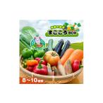 セット 詰合せ JAきみつ 季節の野菜まごころBOX