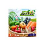 セット 詰合せ 定期便 JAきみつ 季節の野菜まごころBOX