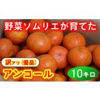 ふるさと納税 果物類 みかん 大分県 杵築市  訳あり・優品 野菜ソムリエ石児さんの「アンコール 10kg」 ミカン みかん 蜜柑 柑橘 10kg 訳あり 甘い 柑橘類 ア…