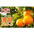 みかん 柑橘類 清見 タンゴール 5kg