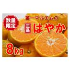 訳あり 甘夏 8kg