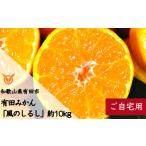 ふるさと納税 果物類 みかん 和歌山県 有田市 有田みかん「風のしるし」(約10kg)(A241-2)