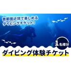 体験チケット 体験ダイビングチケット 勝浦ダイビング協会