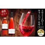 ふるさと納税 ワイン ロゼワイン 宮崎県 都農町 Sweet＆Dry キャンベル・ロゼ2本セット 酒 飲料 アルコール 国産_T014-002