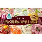 ふるさと納税 魚貝類 鯛 宮崎県 延岡市 お楽しみ定期便 延岡産活〆鮮魚の豪華お刺身(12ヶ月定期便) N019-YG0191