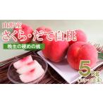 ふるさと納税 もも 山形県 山形市 山形産晩生のかための桃5kg(さくら、だて白桃) 令和7年産先行予約 FS24-503くだもの 果物 フルーツ 山形 山形県 山形市 2025…
