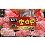 牛肉 ステーキ 宮崎牛定期便 5ヶ月 ブランド牛肉