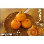 果物類 みかん _2027年出荷分 湯の花