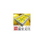 高知特産 温室 ハウス 土佐文旦 3kg