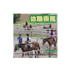 体験チケット 体験乗馬 メンバー体験コース