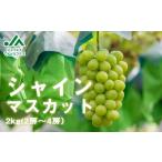 ふるさと納税 ぶどう マスカット 山形県 天童市 08-01-033　ぶどう(シャインマスカット)2kg