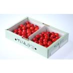 fu.... налог фрукты вид вишня Yamagata префектура небо . город 08-05-003 вишня ( Sato .)600g