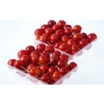 ふるさと納税 果物類 さくらんぼ 山形県 天童市 08-05-002　さくらんぼ(紅秀峰)600g