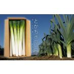 fu.... налог овощи вид лук порей Hokkaido звук . блок ( предшествующий прием )[.... ферма ] или .powa low ( Lee ki, Polo лук-батун ) A50 {2025 год 11 месяц сверху ... последовательный отправка }