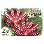タコ DB044 長崎産 地だこ2尾 約1.4kg