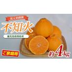 ふるさと納税 みかん・柑橘類 デコポン 鹿児島県 指宿市  2026年2月上旬〜発送 坂元さんちの不知火ご家庭用約4kg程度(坂元果樹園／A-085) 鹿児島 みかん しら…