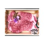 牛肉 サーロイン 常陸牛サーロインステーキ