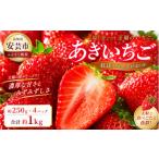 紅ほっぺ さがほのか 約 1kg