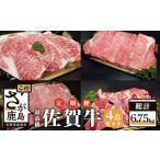 牛肉 ステーキ V-10 佐賀牛4点セット
