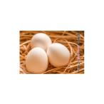 fu.... налог яйцо ( курица,.. курица и т.п. ) Chiba префектура .. город ... * Sakura цвет ~ Tama .L размер .. для 60 шт | яйцо tamago шар . Tama . Sakura цвет Tama . свежий Chiba префектура .....