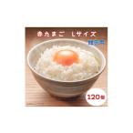 fu.... налог яйцо ( курица,.. курица и т.п. ) Chiba префектура .. город Ogawa eg. красный Tama .L размер .. для 120 шт красный Tama . Tama . яйцо шар .tamago свежий ...... для ..gif...