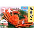 カニ 松葉ガニ 松葉ガニの本場より プロ茹で松葉ガニ