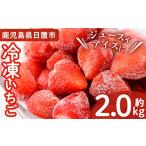 ふるさと納税 いちご 鹿児島県 日置市 No.298 冷凍いちご(計約2kg・約1kg×2) 国産 九州産 苺 いちご イチゴ 冷凍 果物 フルーツ 減農薬 アイス 片平観光農園 …
