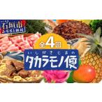ふるさと納税 惣菜・レトルト 冷凍 沖縄県 石垣市  4回／年定期配送 石垣島のタカラモノ便 SH-3 春夏秋冬のお楽しみ(野菜 鮮魚 フルーツ 肉 牛肉 豚肉 加工品 …