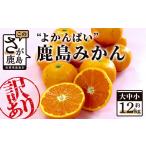 ふるさと納税 果物類 みかん 佐賀県 鹿島市 訳あり 数量限定 よかんばい 鹿島産 みかん 12kg 大中小 サイズ別 11月中旬より順次配送予定 ふるさと納税 みかん…