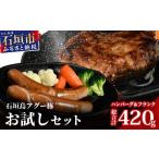 豚肉 ハンバーグ 石垣島アグー豚お試しセット