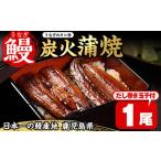 ふるさと納税 うなぎ 鹿児島県 日置市 No.310 鹿児島県産うなぎの炭火蒲焼(1尾・タレ付)と自慢の出汁巻き卵1本付 国産 九州産 鰻 ウナギ うな重 うな丼 蒲焼 …
