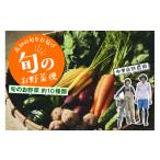 野菜類 中 野菜 セット 8~10種類 1回便