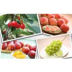 ふるさと納税 果物類 さくらんぼ 山形県 天童市 08-01-037　天童の恵み頒布会(定期便)全4回