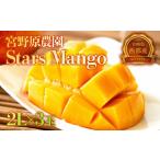 ふるさと納税 マンゴー 宮崎県 西都市  宮野原農園・糖度13度以上 厳選したスターズマンゴー 2Lサイズ2個 完熟マンゴー 生産者直送 2-107 宮崎マンゴー 果物 …