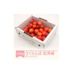 ふるさと納税 果物類 さくらんぼ 山形県 村山市 先行予約 さくらんぼ 紅秀峰 秀品 L-2L玉 500g バラ詰 2025年産 令和7年産 山形県産 mm-bsbax500