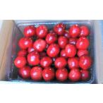 fu.... налог фрукты вид вишня Yamagata префектура сверху гора город теплица вишня ( Sato .)500g 2L размер 0112-2606