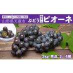 梨 08-06-036 大玉ラ フランス2kg
