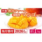 ショッピングふるさと納税 マンゴー ふるさと納税 マンゴー 沖縄県 八重瀬町  先行受付 2026年発送 神谷ファームのマンゴー（家庭用）約1Kg - 先行予約 沖縄県産 産地直送 南国フルーツ 旬の味覚 …