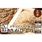 さがびより 白米 10kg