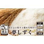 12ヶ月 毎月 お届け 夢しずく 白米 20kg