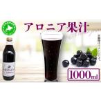 果汁飲料 ブルーベリー 5525-0336