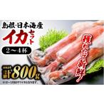 鮮魚セットE 島根 山陰 日本海産