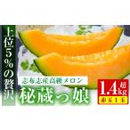 メロン メロン赤肉 極上メロン 秘蔵っ娘 赤玉